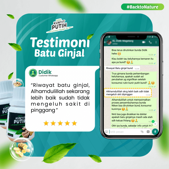 LANDING PAGE LP KUNYIT - RYAN - 16 (26 Februari 2025)